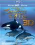 Дельфины и киты: обитатели океана 3D и 2D (Real 3D Blu-Ray)