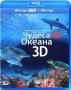 Чудеса океана 3D и 2D (Real 3D Blu-Ray)