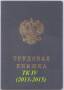 Трудовая книжка ТК IV (2013-2015) чистая