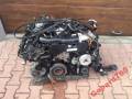 Двигатель. Audi Quattro Audi A4