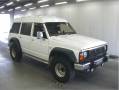 Nissan Safari. VRGY60, TD42