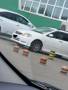Губа. Toyota Corolla Toyota Corolla Fielder