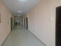 Этаж в административном здании - 283 м - Первая речка - Океан. пр-кт. Проспект Океанский 103а, р-н Первая речка, 283 кв. м. Интерьер