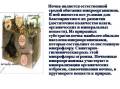 Почвогрунты.
