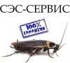 Уничтожение тараканов(клопы, тараканы, блохи) Внимание! Без-запаха. Акция длится до 10 октября