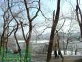 Помещение в районе детского парка во Владивостоке. Улица Херсонская 8, р-н Чуркин, 72 кв. м. Вид из окна
