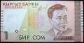 Сом Киргизский.