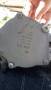 Вакуумный насос. Volkswagen: Eos, Sharan, Passat, Passat CC, Golf Audi: A3, TT, A4, S5, A5, Coupe SEAT Altea SEAT Toledo SEAT Alhambra SEAT Leon, 1P1...