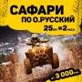 Сафари по о. Русский на квадроциклах