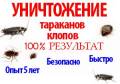 Уничтожение насекомых.