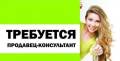 Продавец-консультант. Продавец продовольственных товаров. ООО "ТЫСЯЧА МЕЛОЧЕЙ". Улица Некрасовская 76