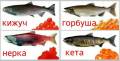 Икра красная.