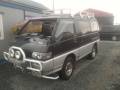 Защита двигателя. Mitsubishi Delica, P25W, P35W Двигатель 4D56