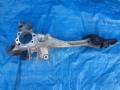 Рычаг подвески. Subaru Legacy, BLE, BP5, BL, BL5, BP9, BP, BL9, BPE Двигатели: EJ20X, EJ20Y, EJ255, EJ30D