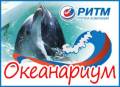 Приморский Океанариум. Ежедневно. Семеновская 7А.