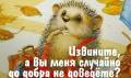 Весь спектр рекламных и типографских услуг