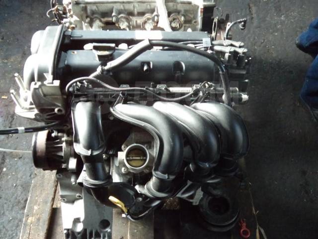 ford focus двигатель shda