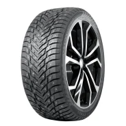 Nokian Hakkapeliitta 10P. ������, ����������, 2024 ���, ����� ����