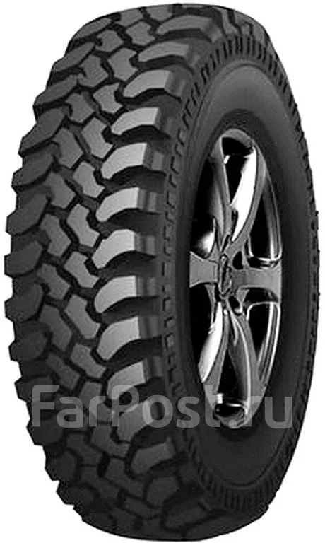 Forward Safari 540: ������, ��������������