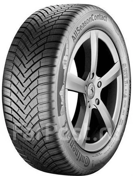 Continental AllSeasonContact: ������, ��������������