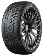 GT Radial WinterPro2