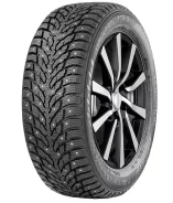 Nokian Hakkapeliitta 09. ������, ����������, 2021 ���, ����� ����
