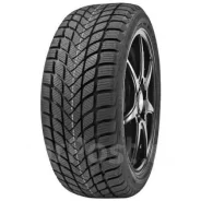 Delinte Winter WD6