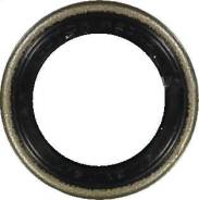 ������� 15x21x5/7 Victor Reinz 81-24010-00 812401000 ����