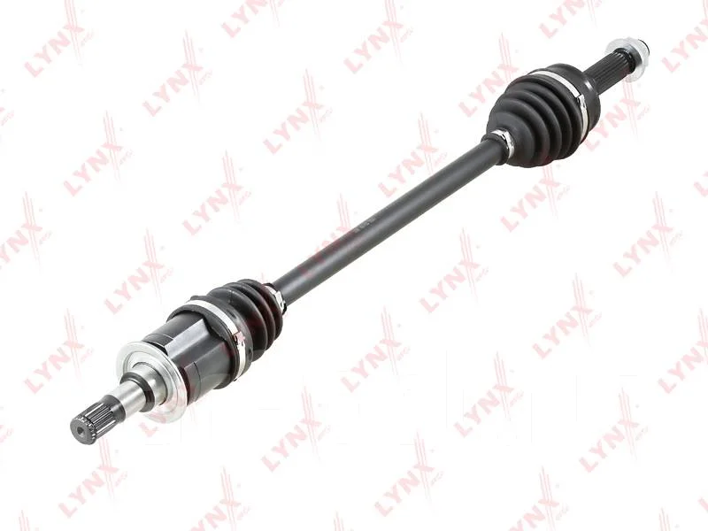 ������ � ����� | ��� ��� | CD1191 ����