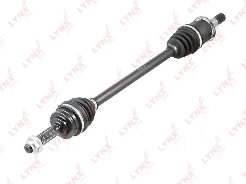 ������ � ����� | ��� ��� | CD1191 ����