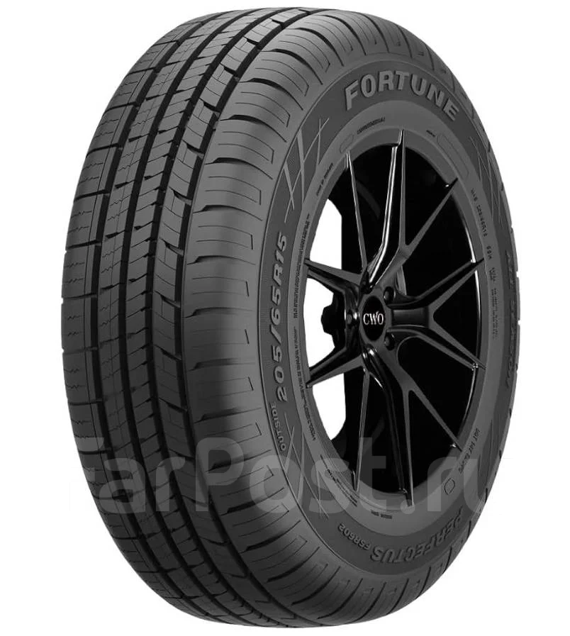 Fortune FSR-602. ������, �����. ��� ����� �� ������������ ����