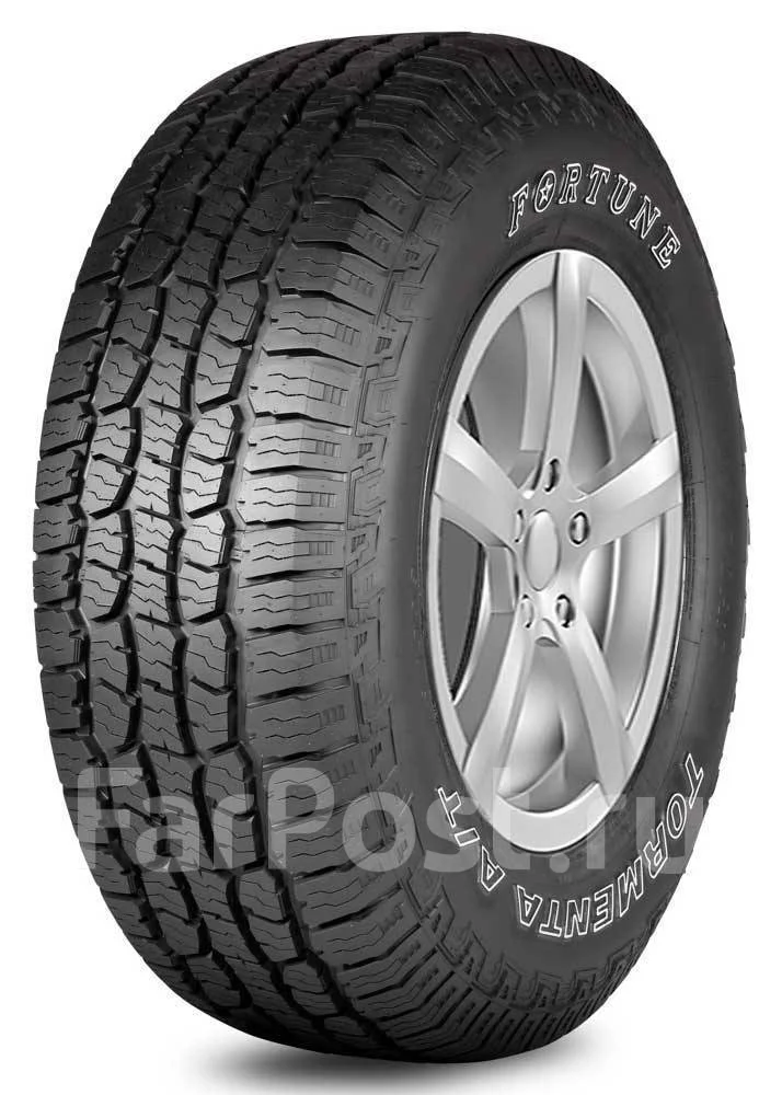 Fortune FSR-308. ������, ����� ����