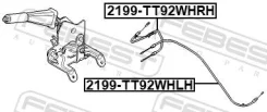���� ����������� ������� ������ ��� FORD Transit febest 2199-tt92whrh 2199TT92WHRH ����