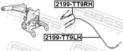 ���� ������� �������, ������ ��� FORD Transit Febest 2199-TT9RH 2199TT9RH ����