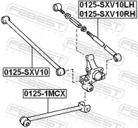 ���� ������ ���������� Febest 0125-SXV10 0125SXV10 ����