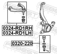 ����� �������� ������ Febest 0324-RD1RH 0324RD1RH ����