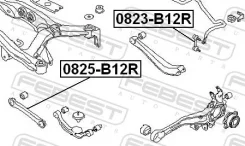 ���� ���������� | ��� ����/��� | Febest 0825-B12R 0825B12R ����