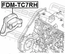 ����� ��������� FORD Focus CAK -05 ���������� ����. Febest FDMTC7RH ����