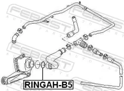 �������������� ������ �������� ���������� ������� ��� AUDI A4, Volkswagen Passat, Volkswagen GOLF febest ringah-b5 RINGAHB5 ����