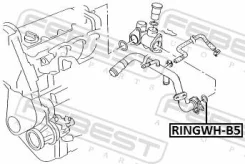 �������������� ������ ��� ������� ���������� ��� AUDI A6, Volkswagen Passat, AUDI A4 febest ringwh-b5 RINGWHB5 ����