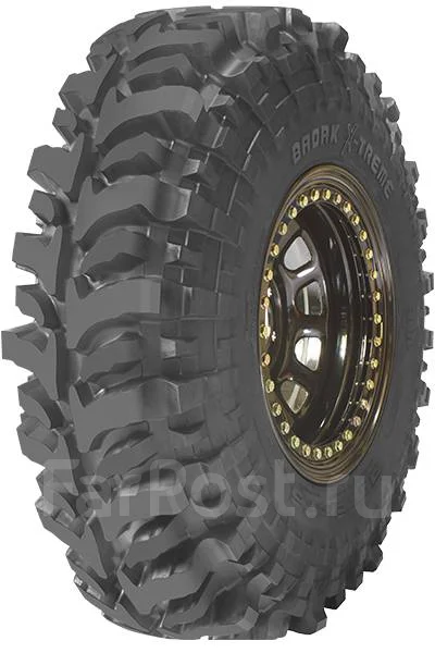Accelera Badak X-Treme