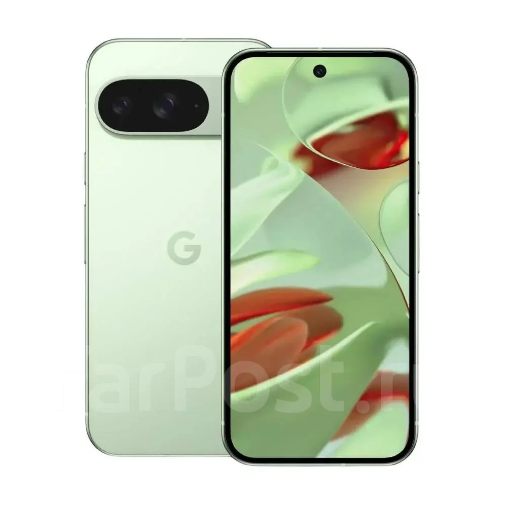 Google Pixel 9: ������, ��������������