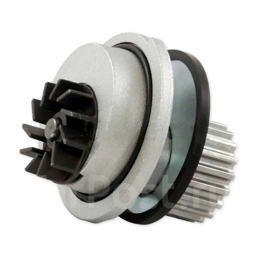����� ������� D213 DOLZ D213 ����