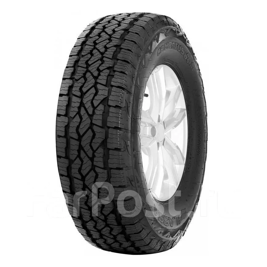 Lassa Competus A/T 3: ������, ��������������