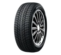 Roadstone Winguard Ice Plus