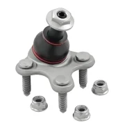 ����� ������� | ����� ���� | NGN 231181 231181 ����