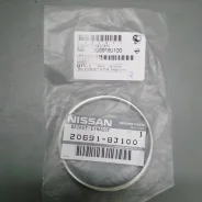 ��������� ��������� ������� Nissan 206918J100 206918J100 ����