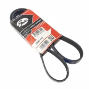 ������ ������������ XF Gates 6PK1195 6PK1195 ����