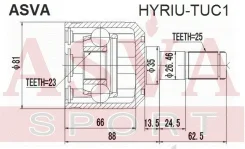 ���� ���������� | ��� ����/��� | Hyriutuc1 Asva HYRIUTUC1 ����