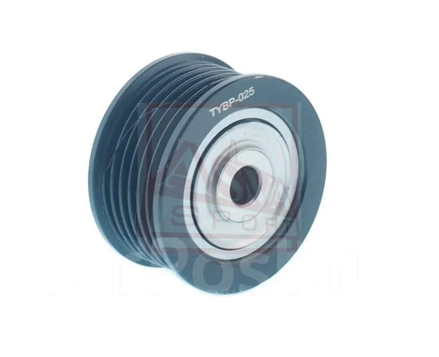 ����� �������� TYBP025 ����
